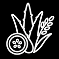 ALOE VERA, PEPINO Y ARROZ
