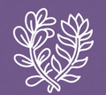 Bacopa Monnieri & Rhodiola
