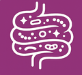 VILBIOTICS NXTGEN™