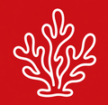 Sea Moss (Musgo Marino)