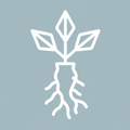RHODIOLA ROSEA